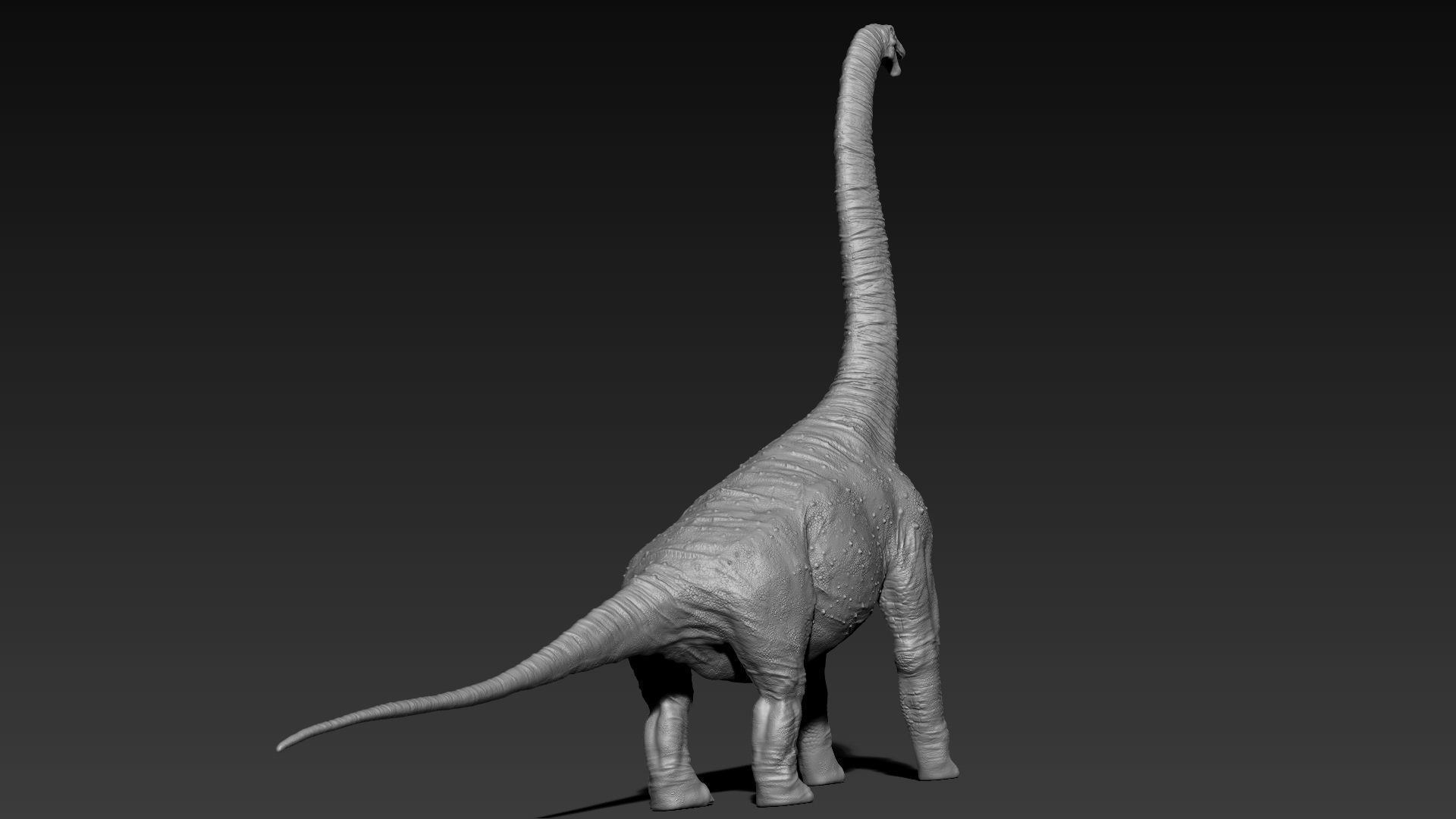Dinosaur Brachiosaurus Sculpt Project 3D model_16