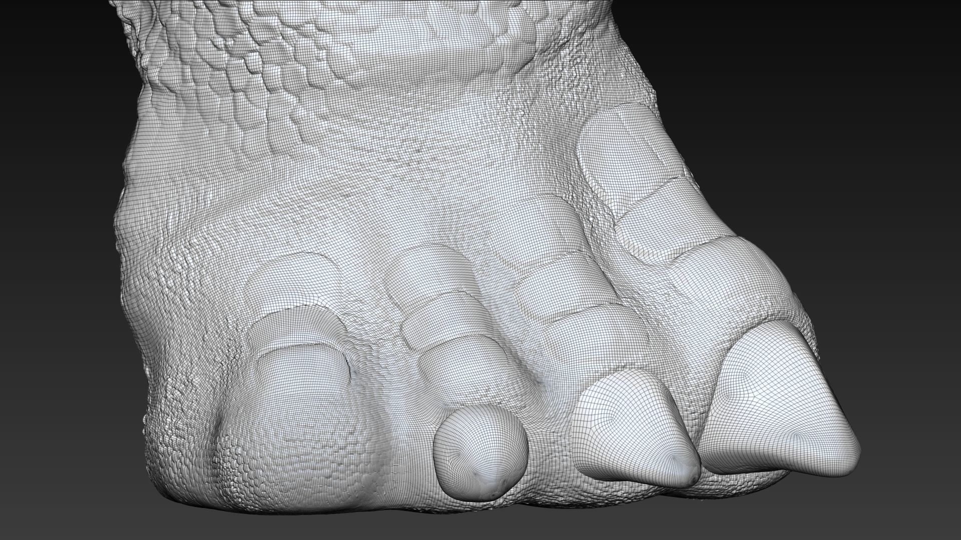 Dinosaur Brachiosaurus Sculpt Project 3D model_22