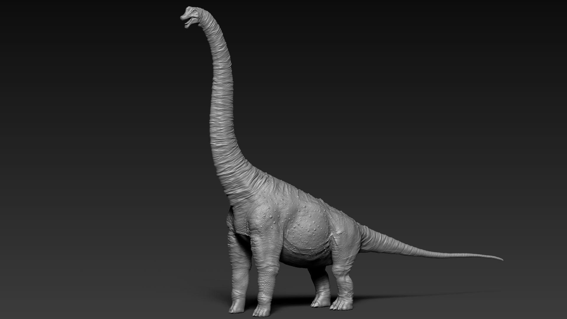 Dinosaur Brachiosaurus Sculpt Project 3D model_3