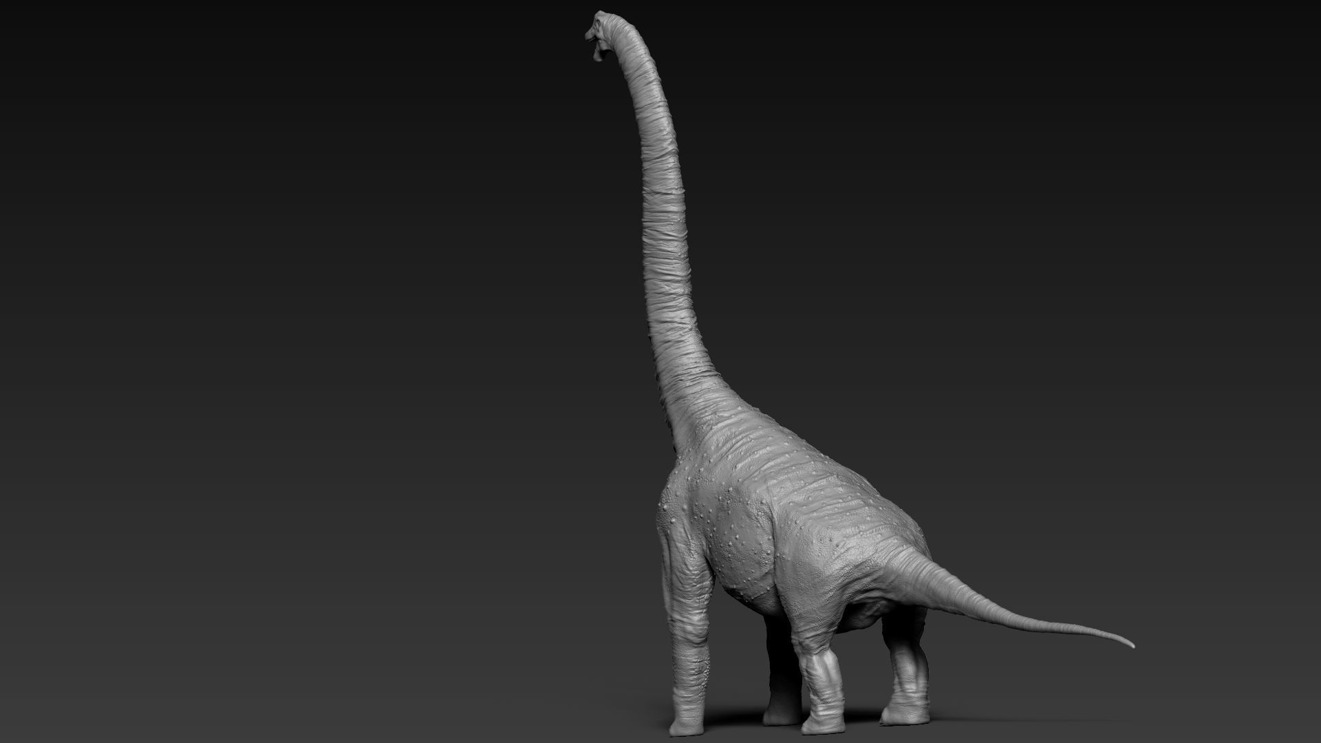 Dinosaur Brachiosaurus Sculpt Project 3D model_4