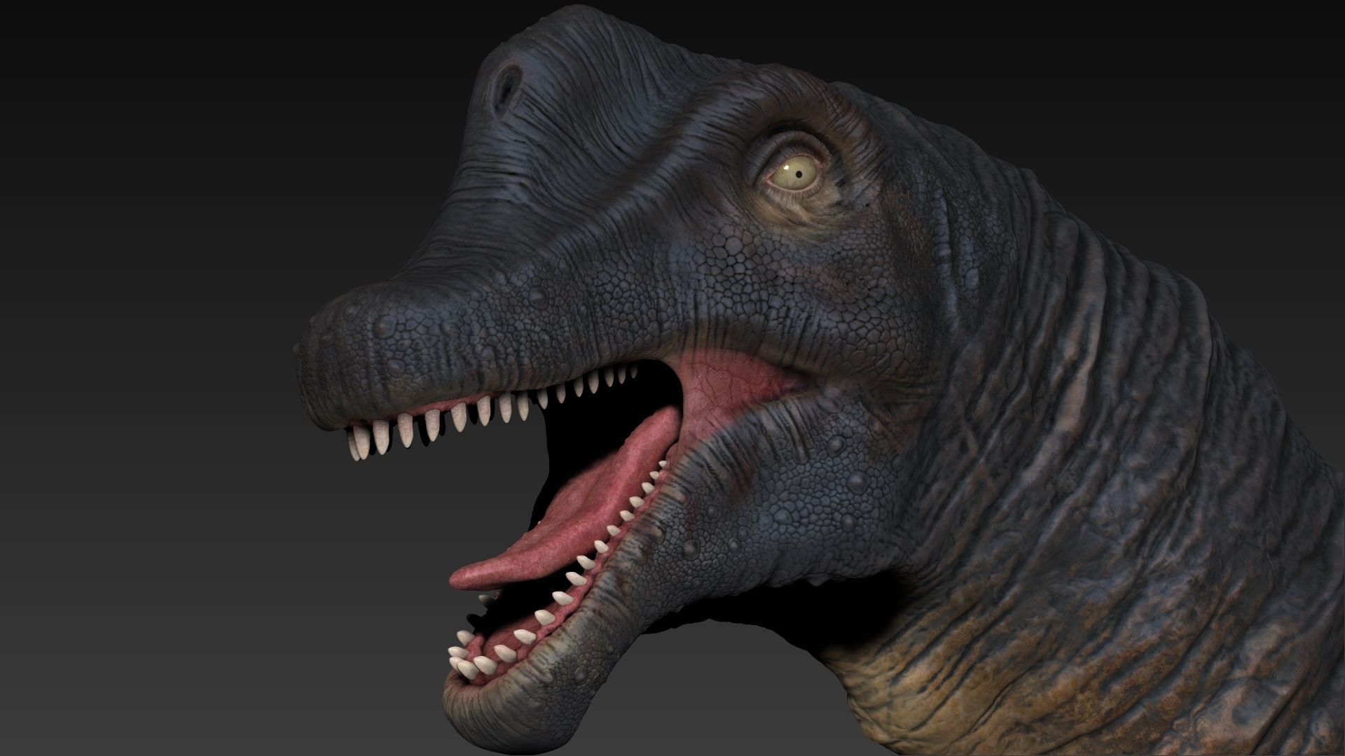 Dinosaur Brachiosaurus Sculpt Project 3D model_8