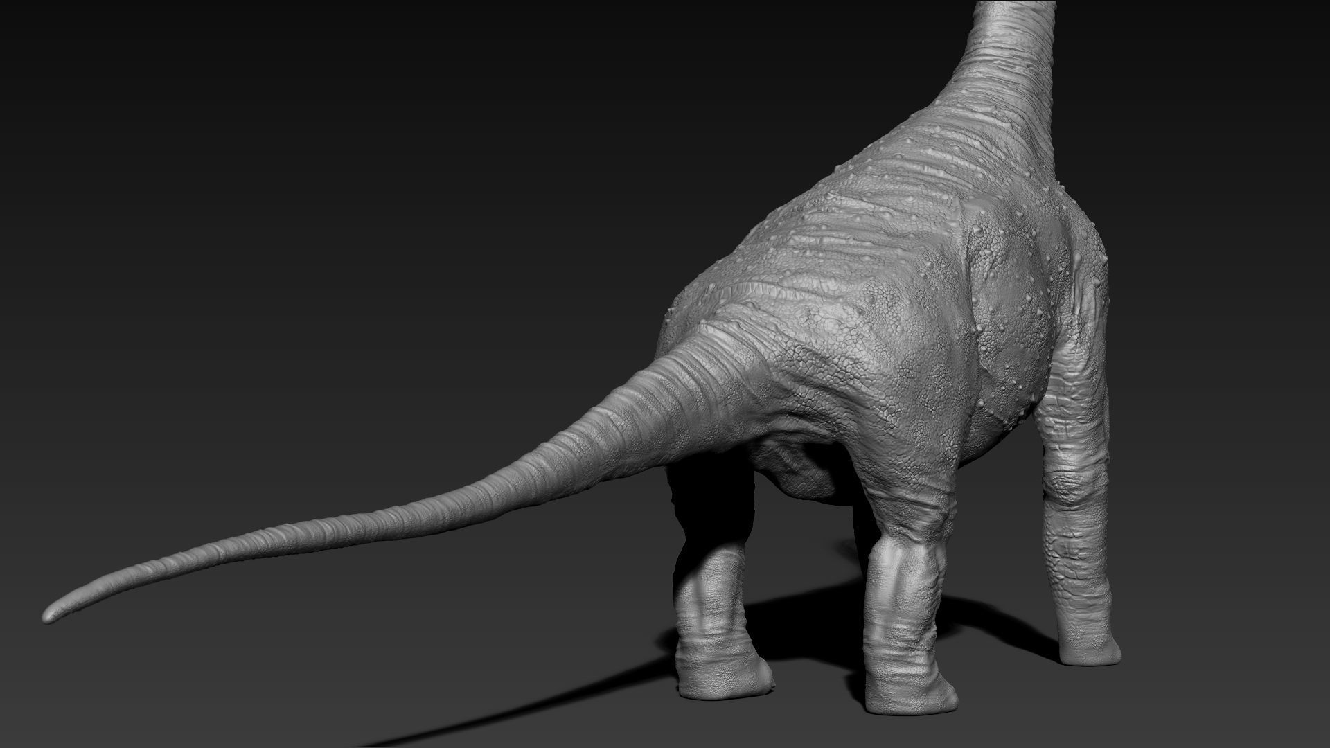 Dinosaur Brachiosaurus Sculpt Project 3D model_12