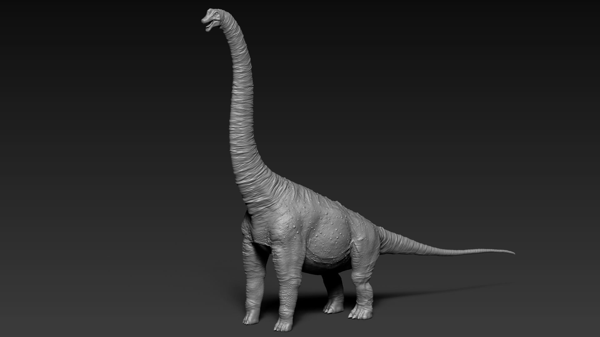 Dinosaur Brachiosaurus Sculpt Project 3D model_2