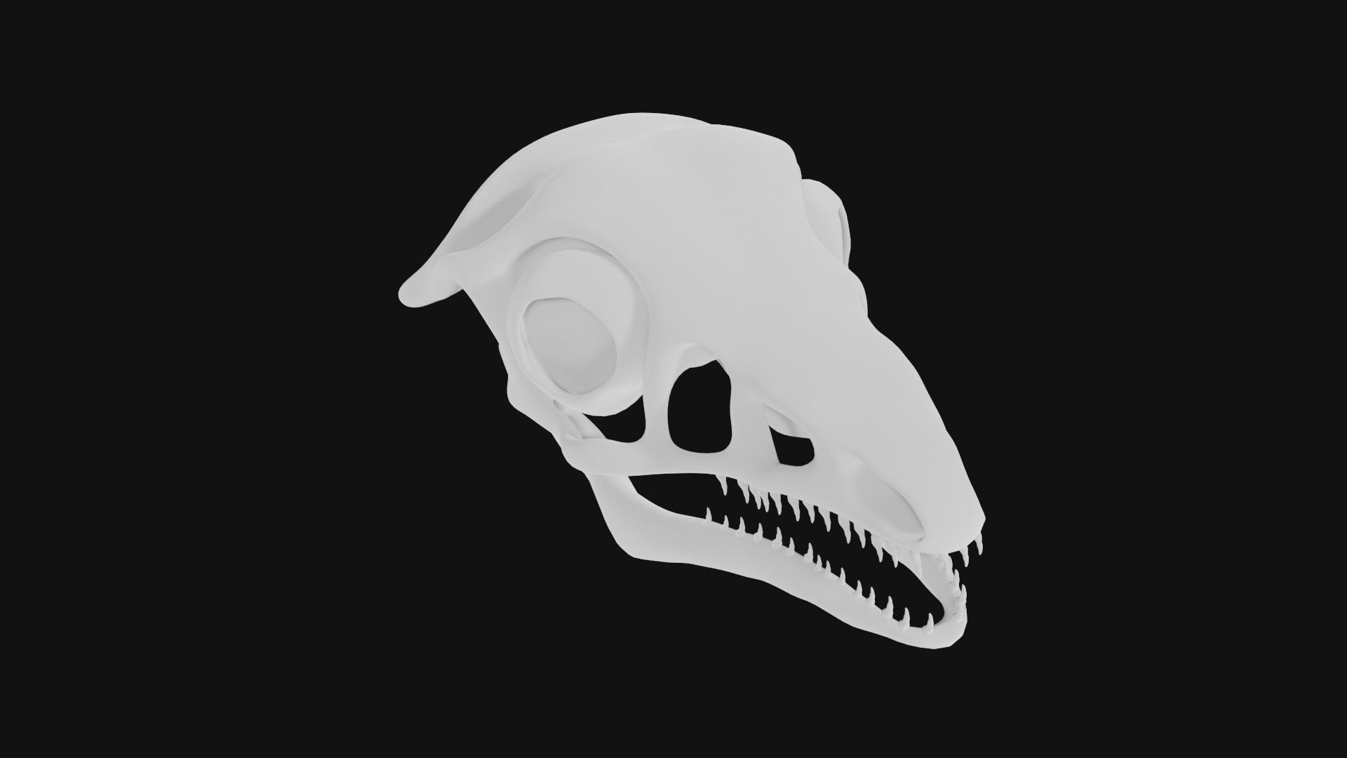 Archaeopteryx skull 3D model_4