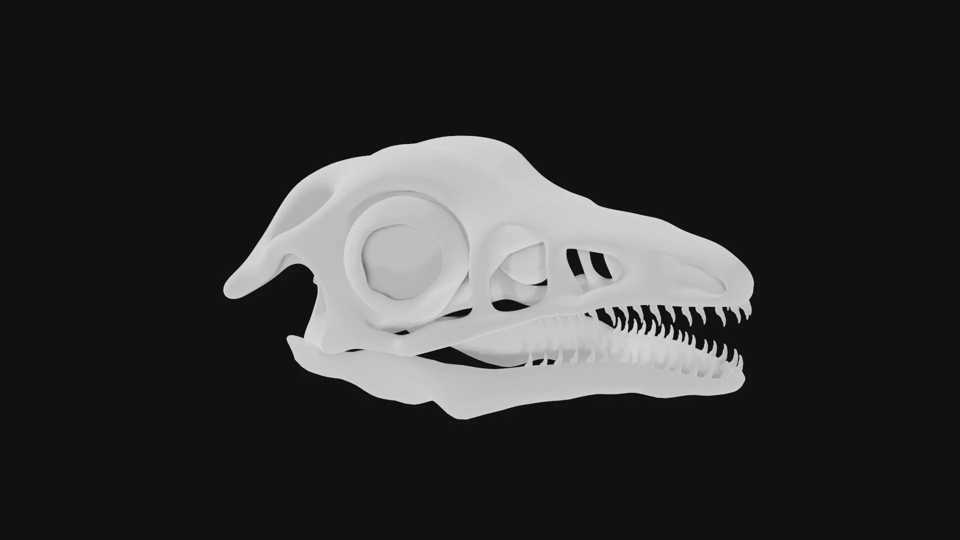 Archaeopteryx skull 3D model_0