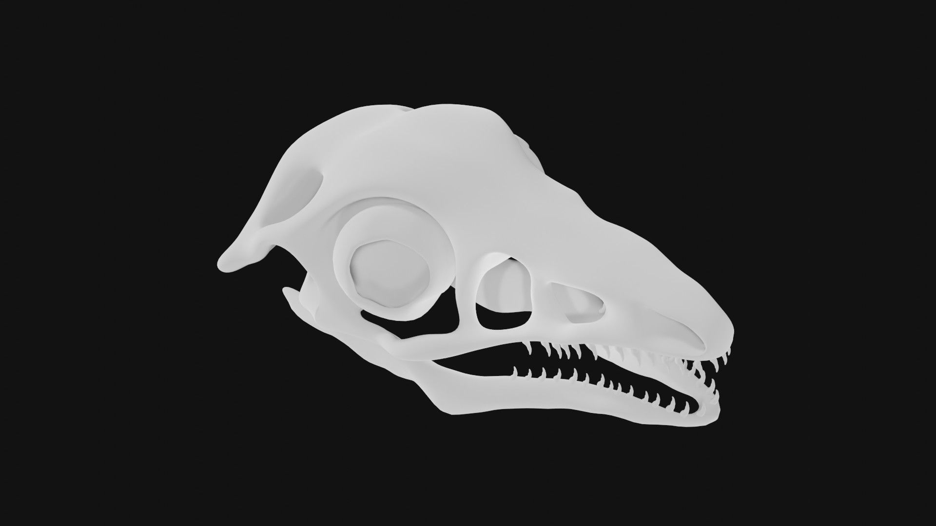 Archaeopteryx skull 3D model_1