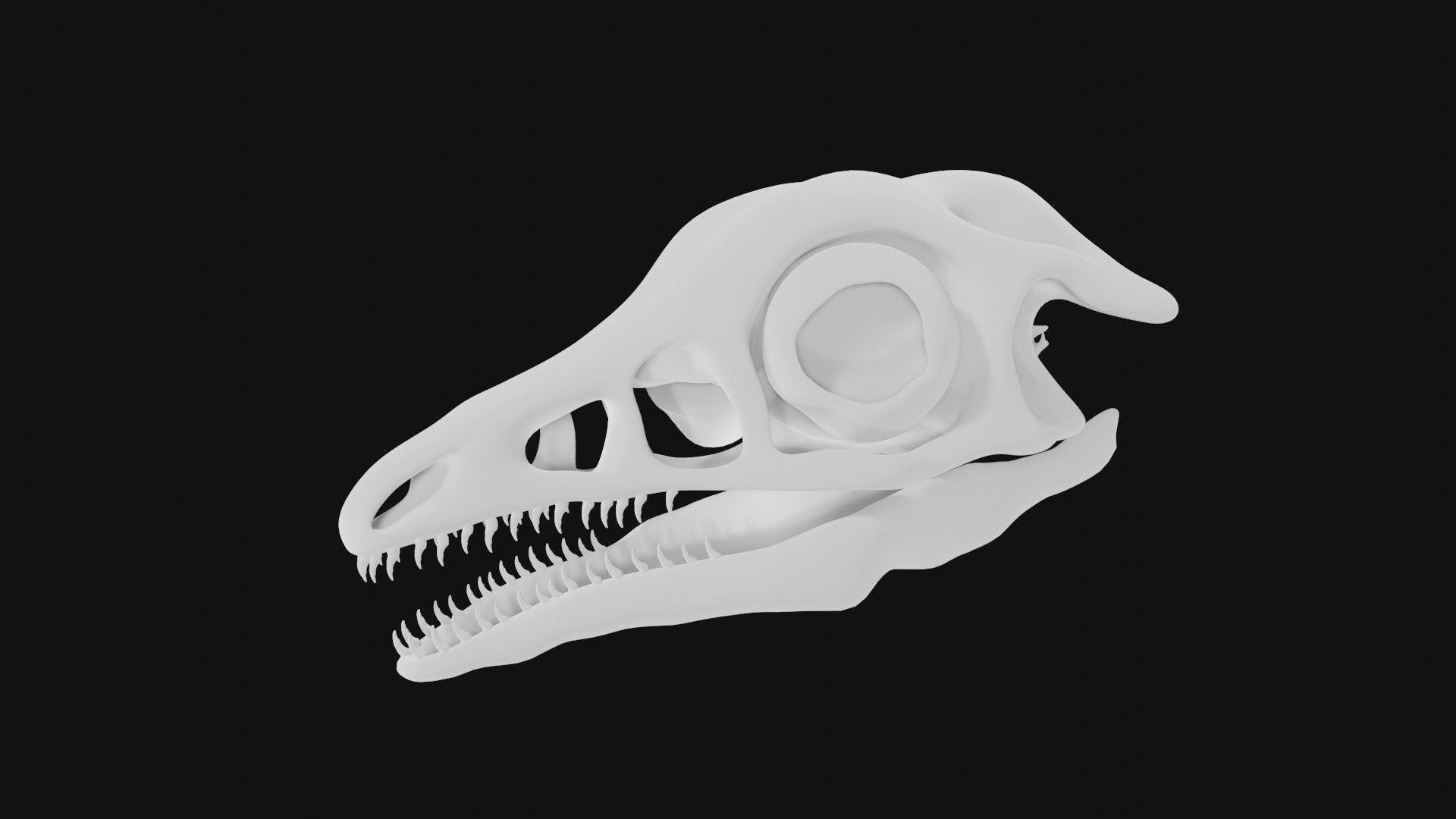 Archaeopteryx skull 3D model_2
