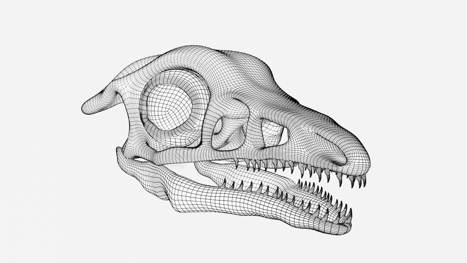 Archaeopteryx skull 3D model_7
