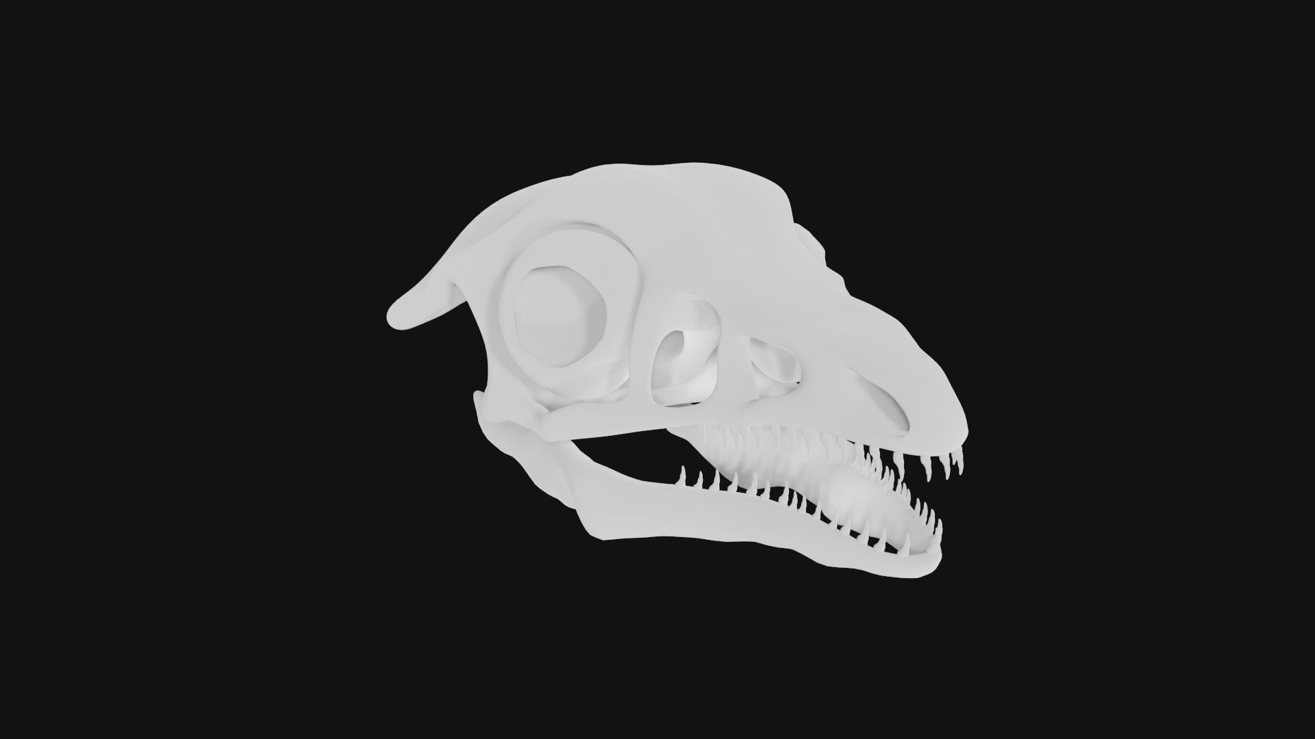 Archaeopteryx skull 3D model_6