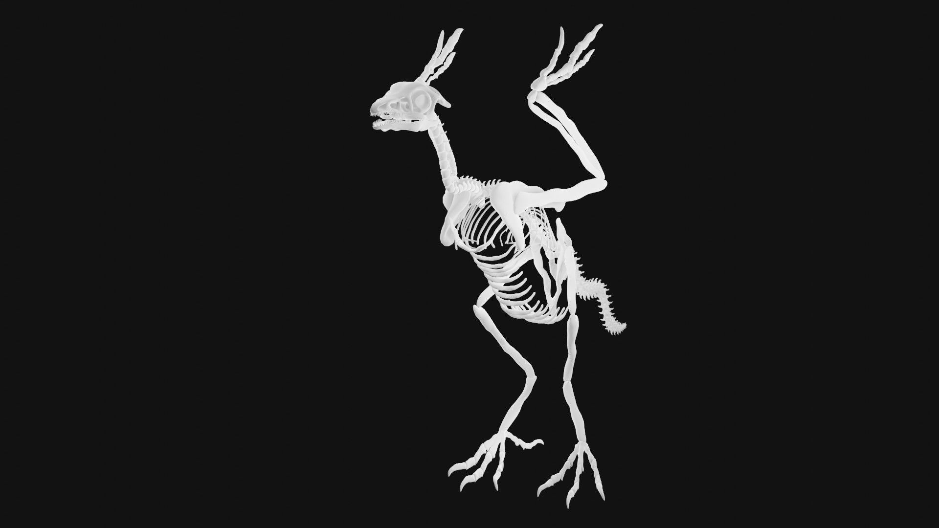 Archaeopteryx skeleton 3D model_5