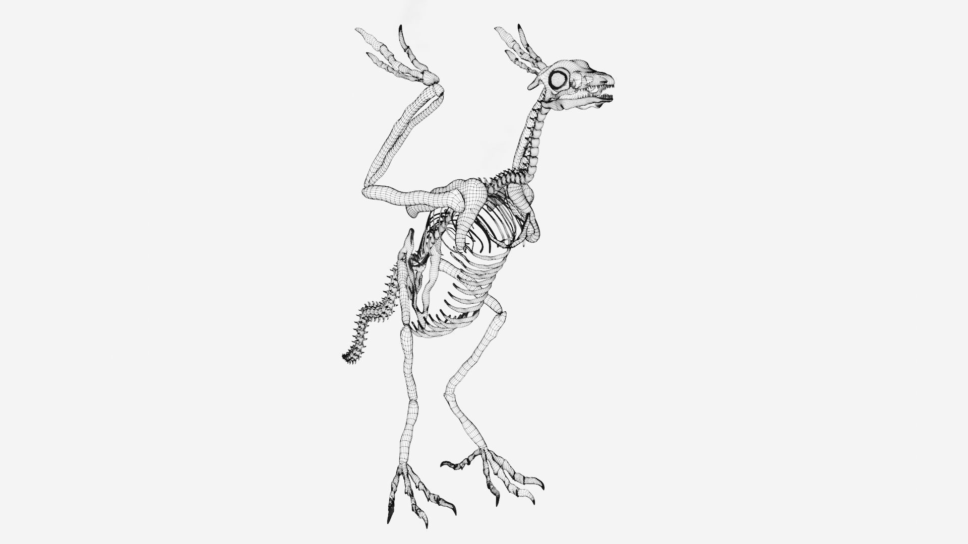 Archaeopteryx skeleton 3D model_7