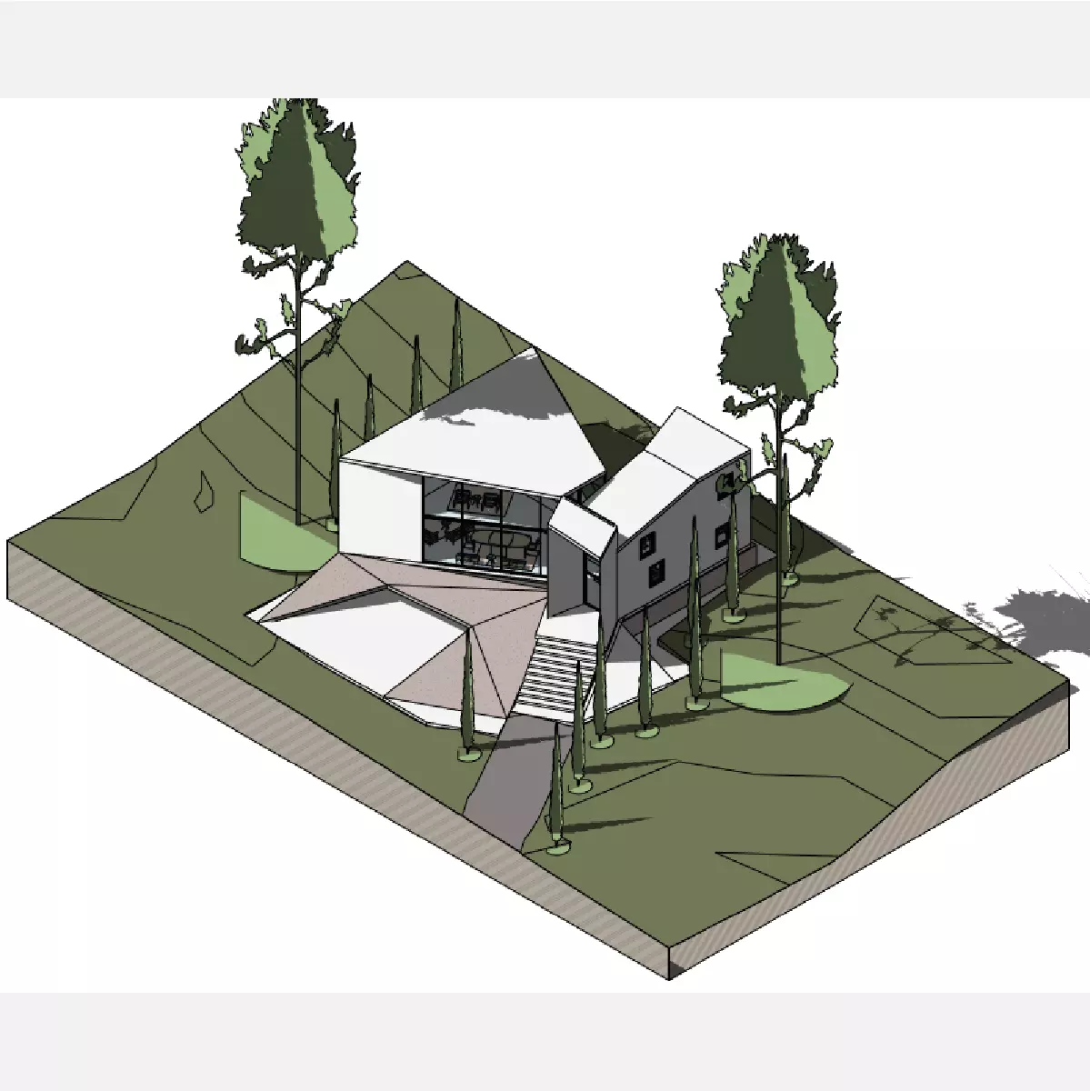 Assymetrical House- Revit 3D model_0