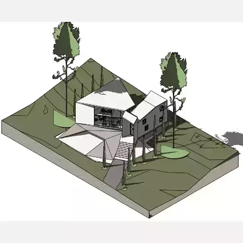 Assymetrical House- Revit