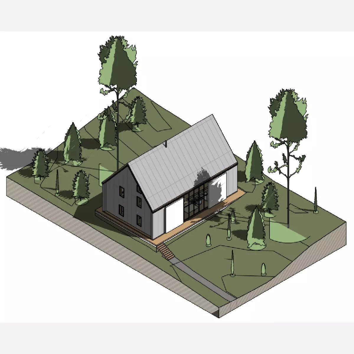 Forest house - Revit 3D model_0