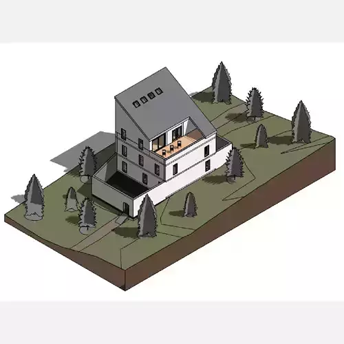 Triangle house - Revit 3D model