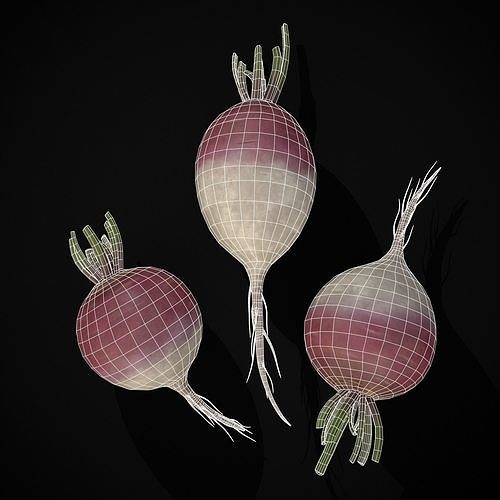 Purple Top White Globe Turnips Low-poly 3D model 2