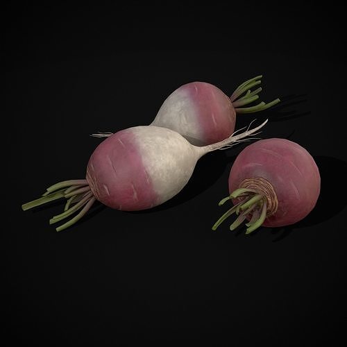 Purple Top White Globe Turnips Low-poly 3D model 5