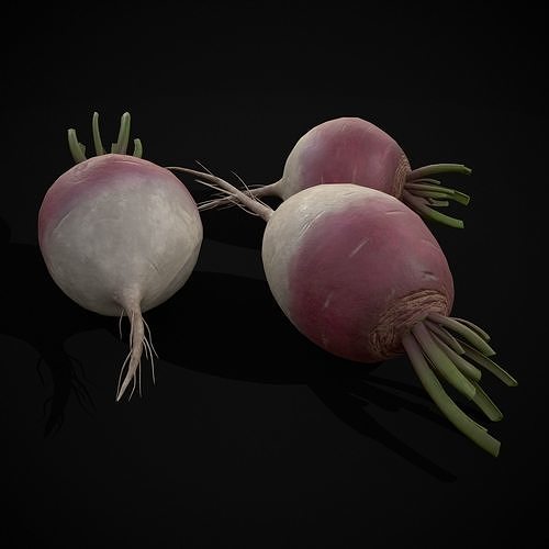 Purple Top White Globe Turnips Low-poly 3D model 3