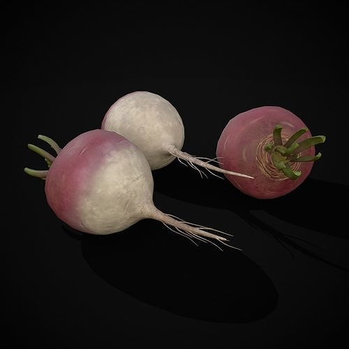 Purple Top White Globe Turnips Low-poly 3D model 7