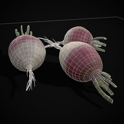 Purple Top White Globe Turnips Low-poly 3D model 4