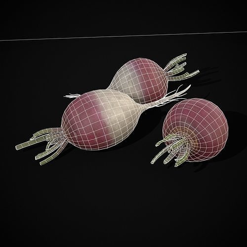 Purple Top White Globe Turnips Low-poly 3D model 6