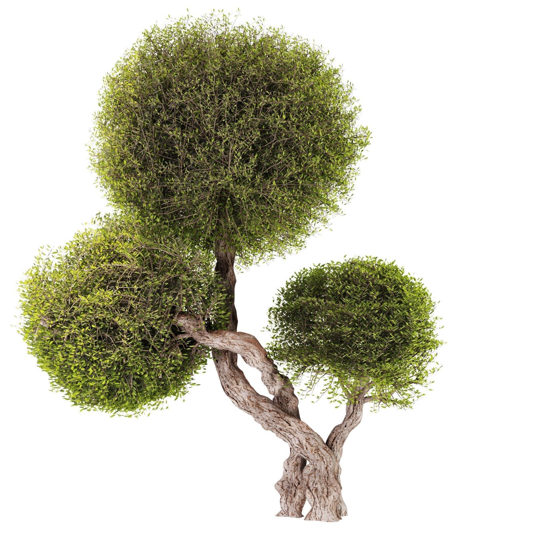 Topiary Ball Bush Set01 3D model_1