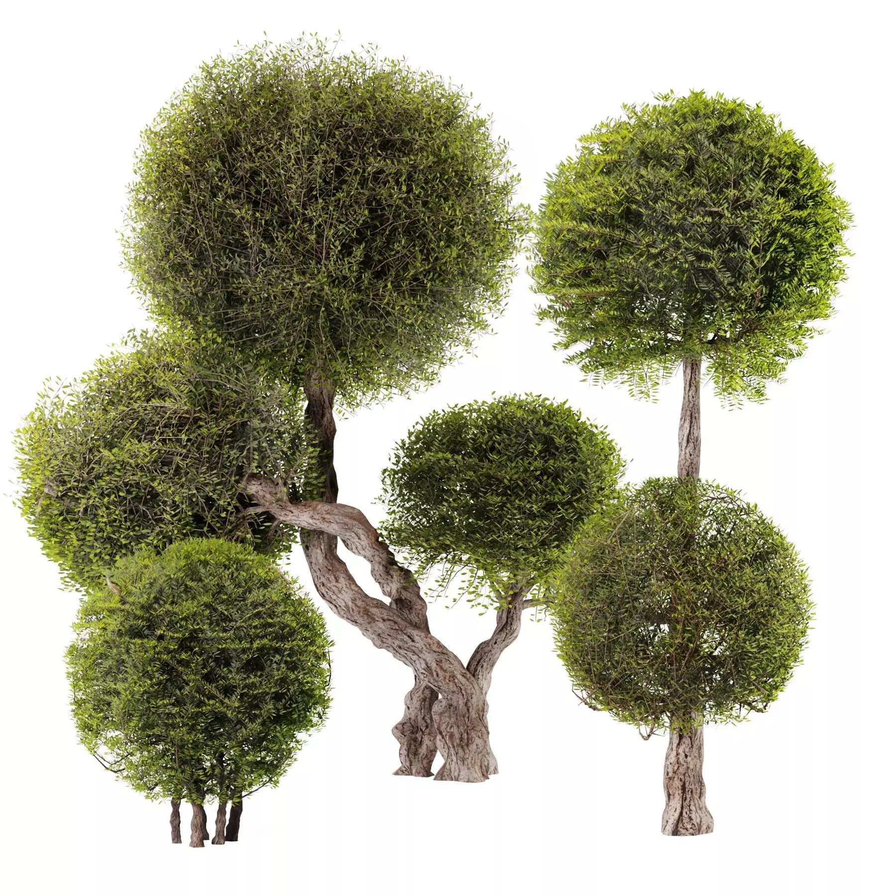 Topiary Ball Bush Set01 3D model_0
