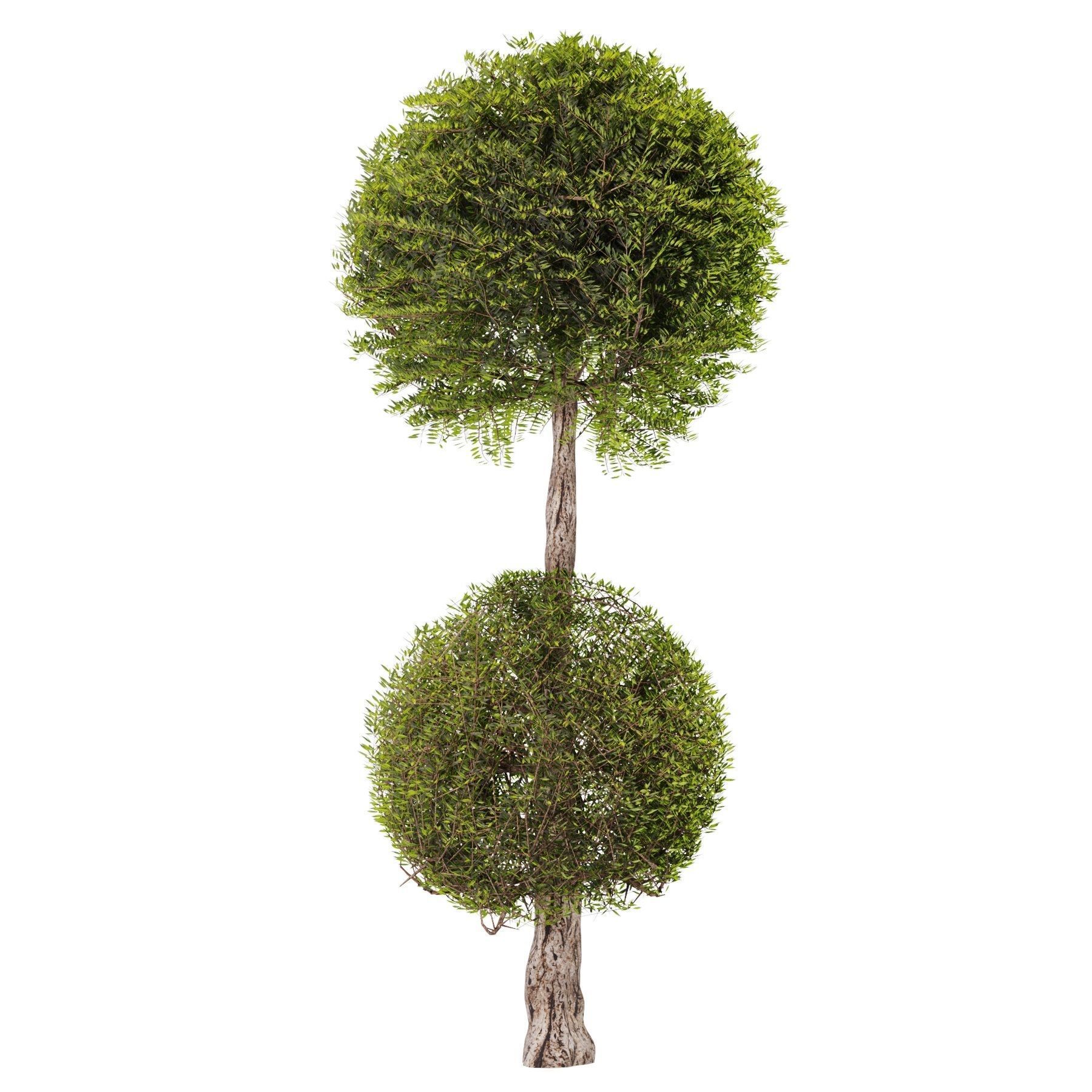 Topiary Ball Bush Set01 3D model_2