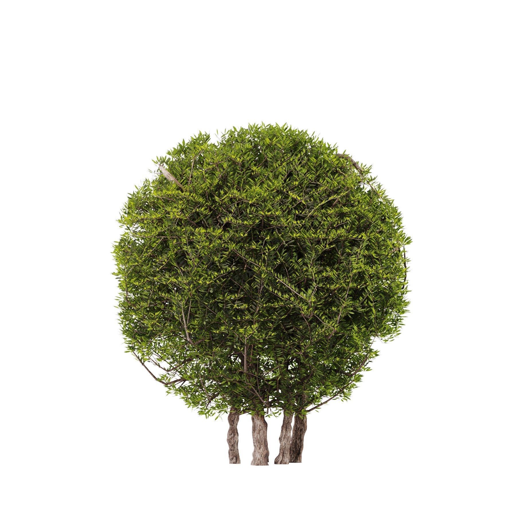 Topiary Ball Bush Set01 3D model_3