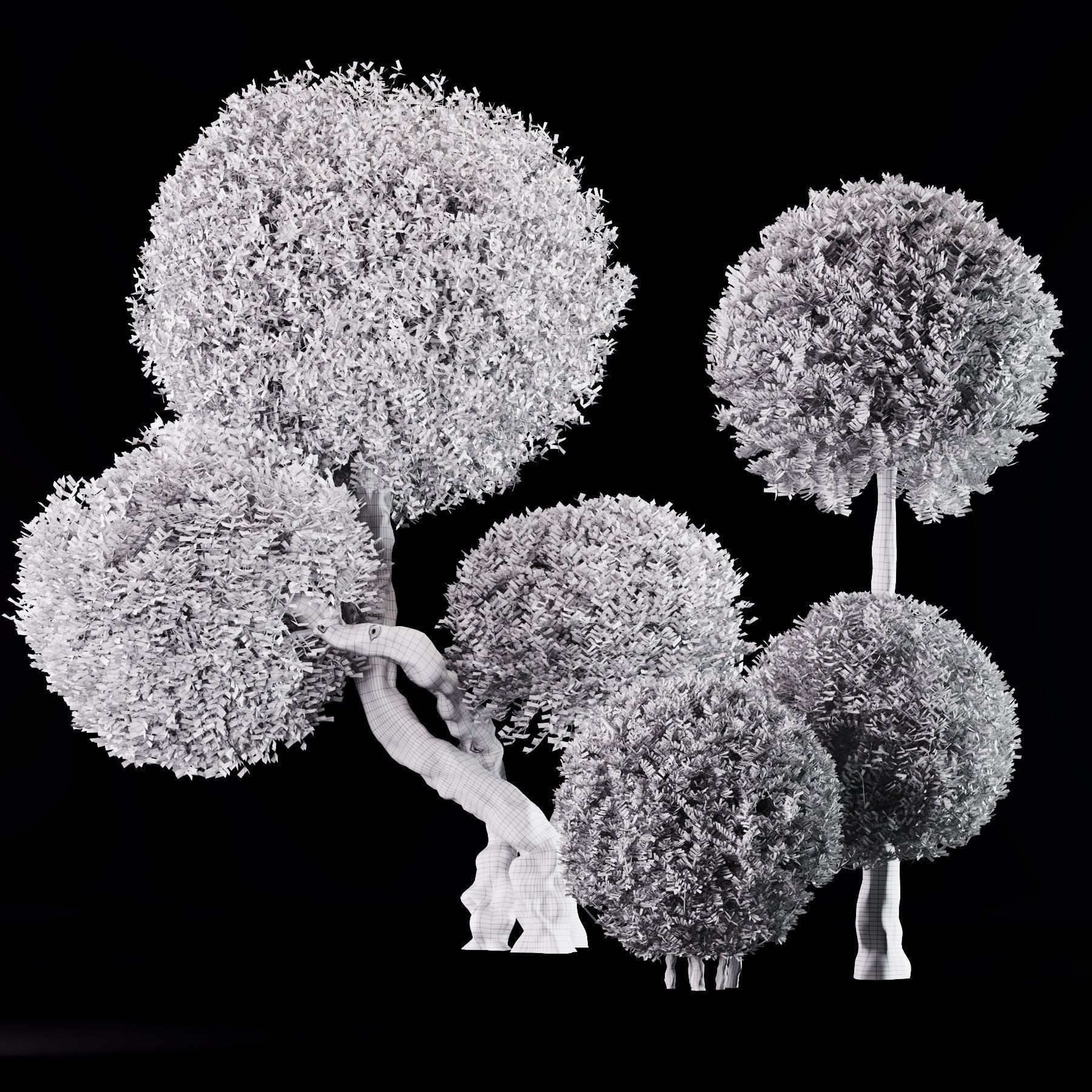 Topiary Ball Bush Set01 3D model_4