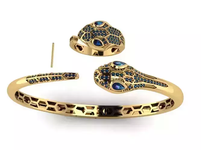 Snake bracelet and Ring