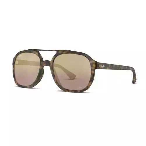 Ray-Ban RB4312CH Sunglasses