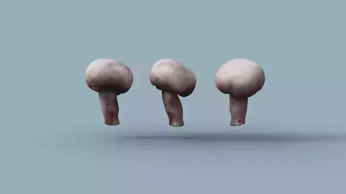 low res Photorrealistic mushroom 3d Scanned