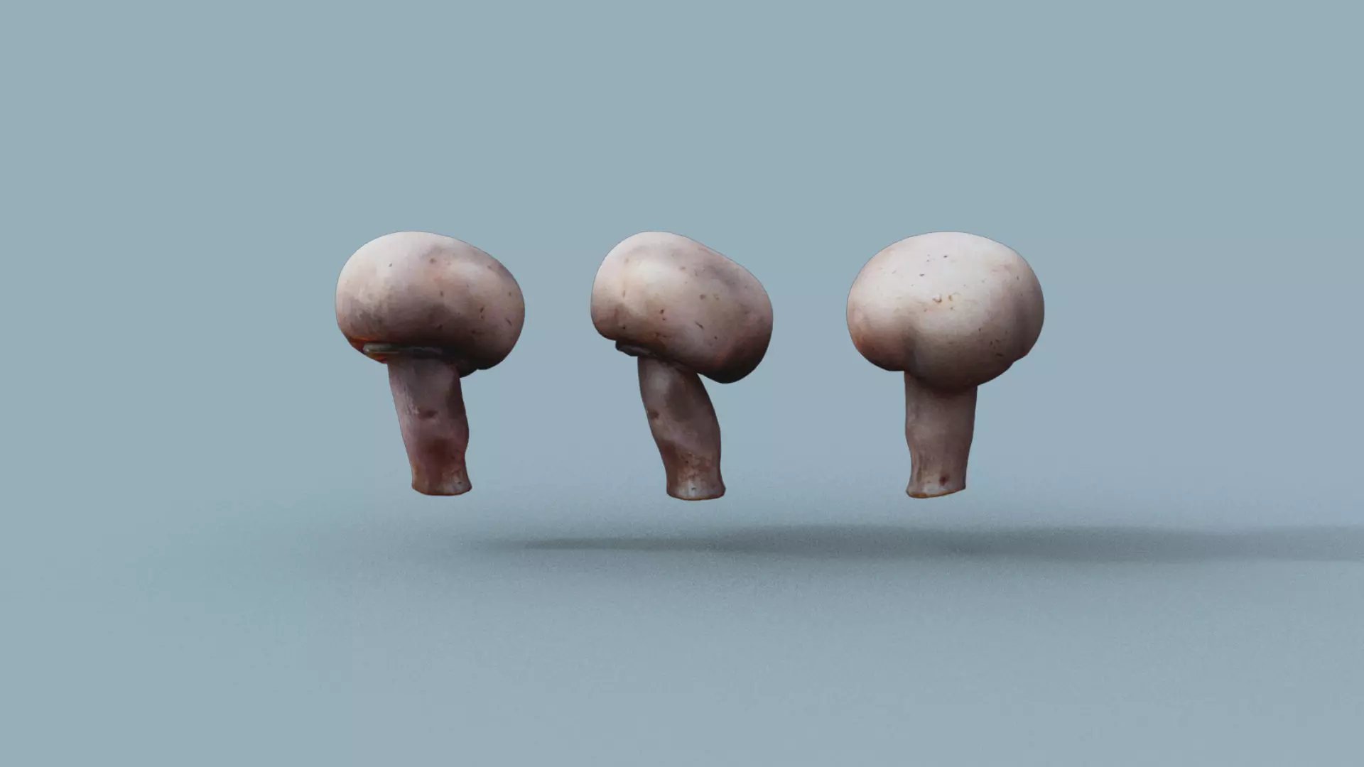 low res Photorrealistic mushroom 3d Scanned 3D model_0