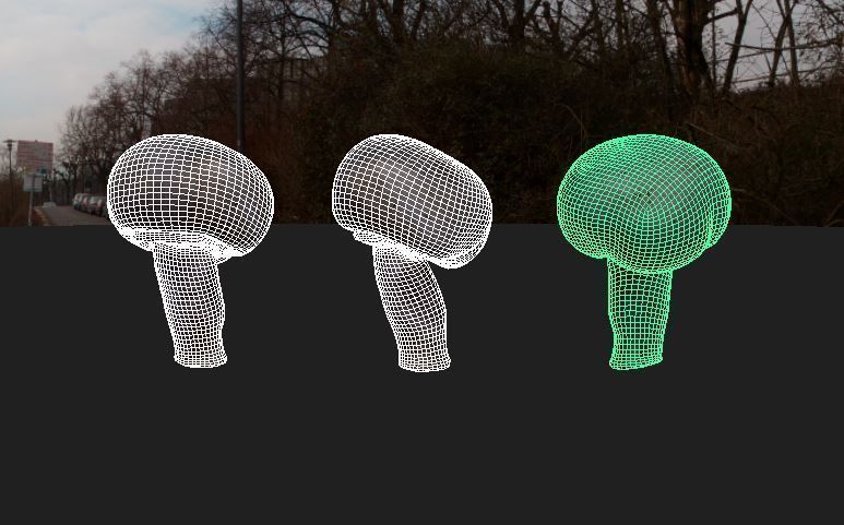 low res Photorrealistic mushroom 3d Scanned 3D model_4