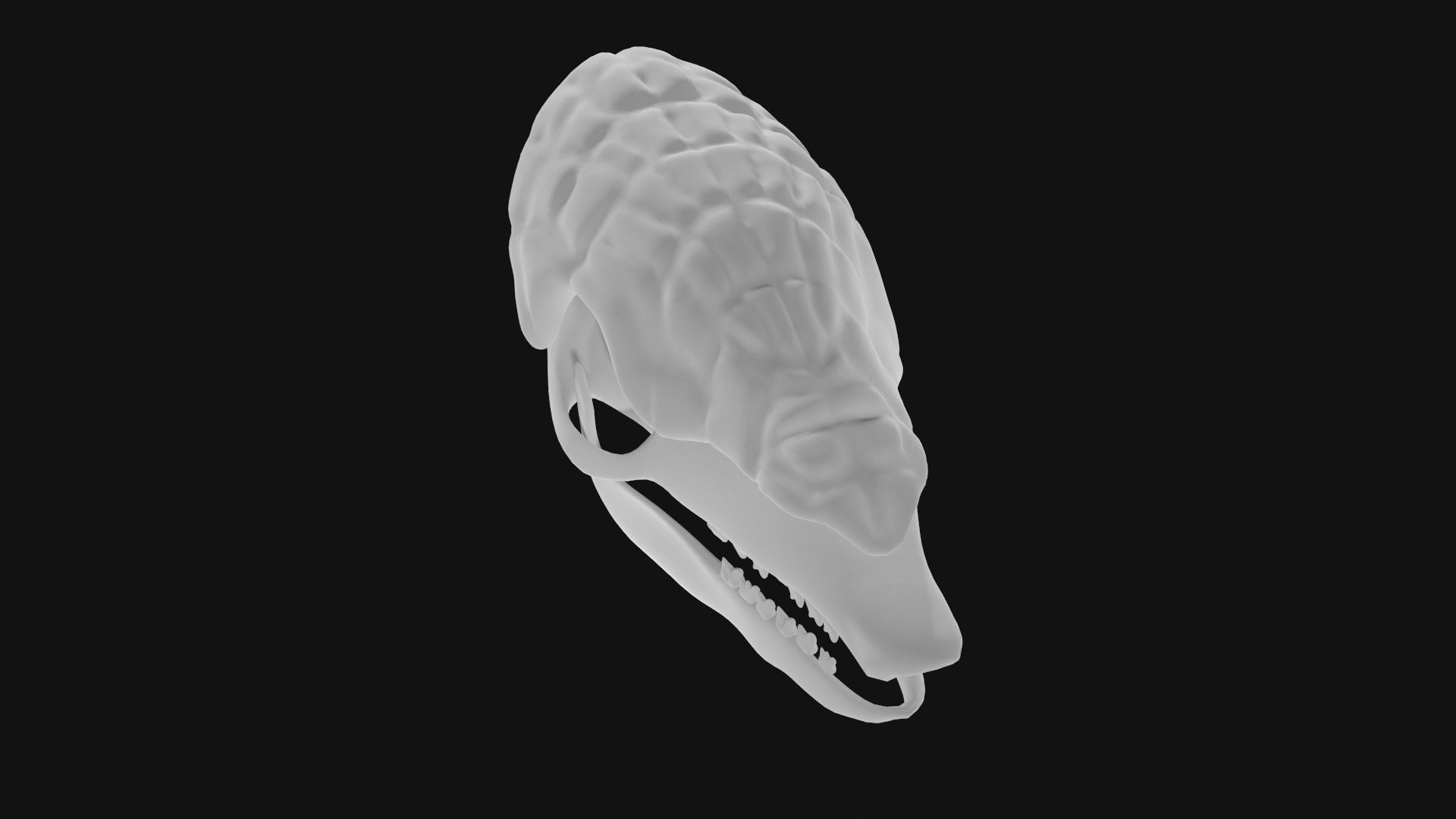 Armadillo skull 3D model_6