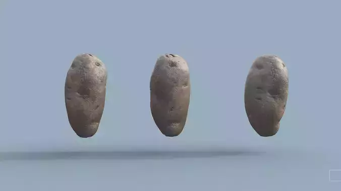 Potato photorrealistic 3D scan