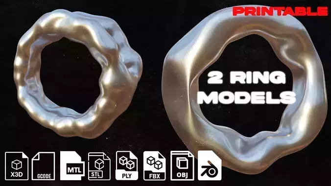 2 Ring Models