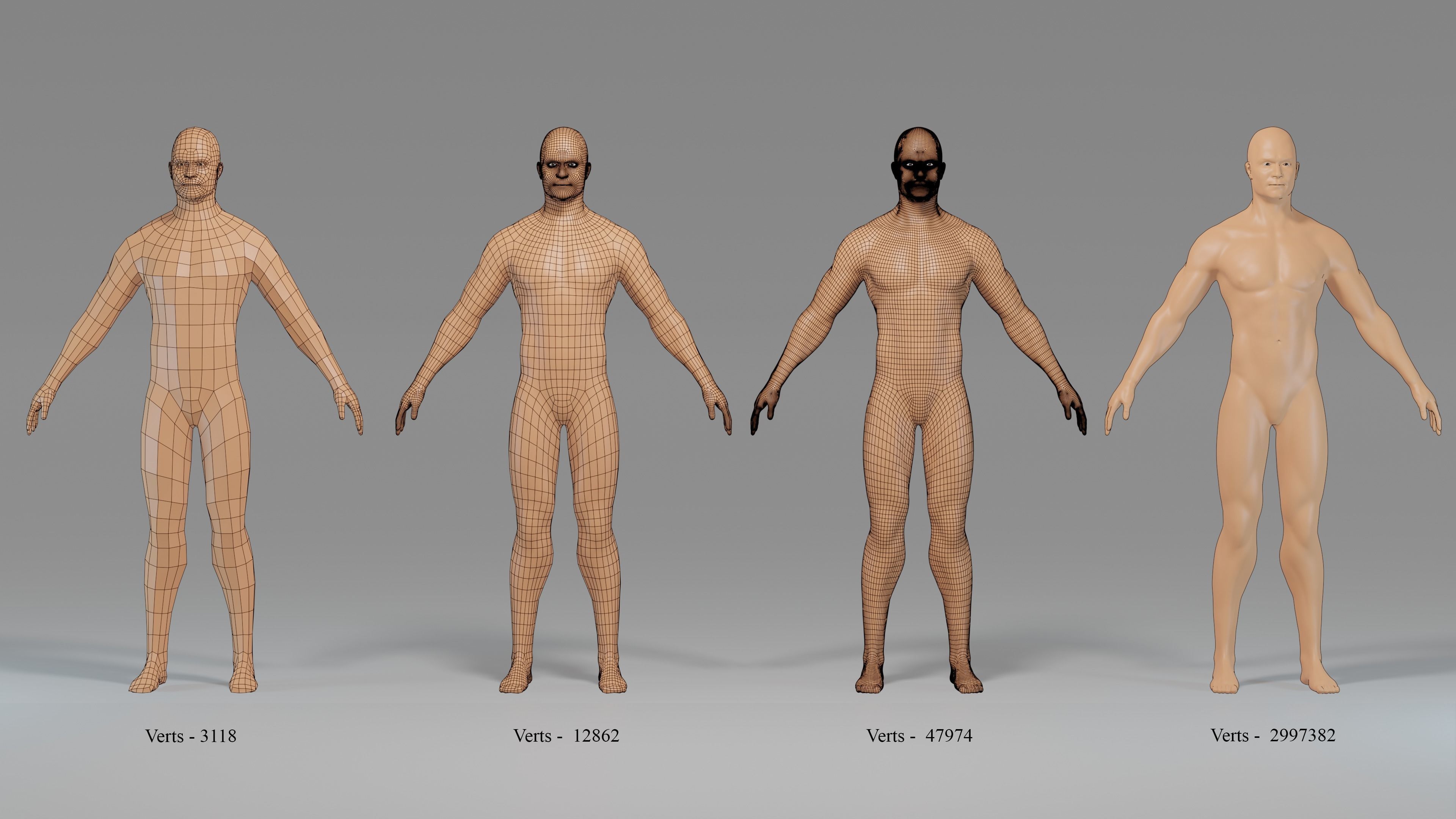 Male Character Base Mesh Collection Low-poly 3D model_1