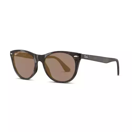 Ray-Ban Wayfarer II - RB2185 Sunglasses