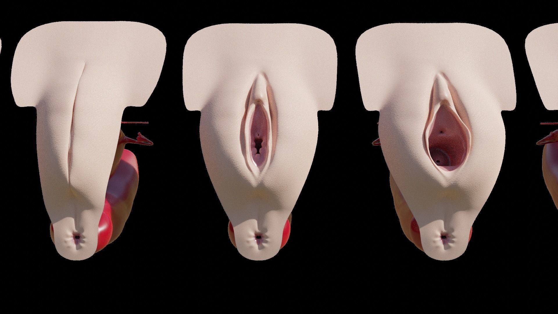 sexe anathomy shape key white android and ebony texture 3D model_1