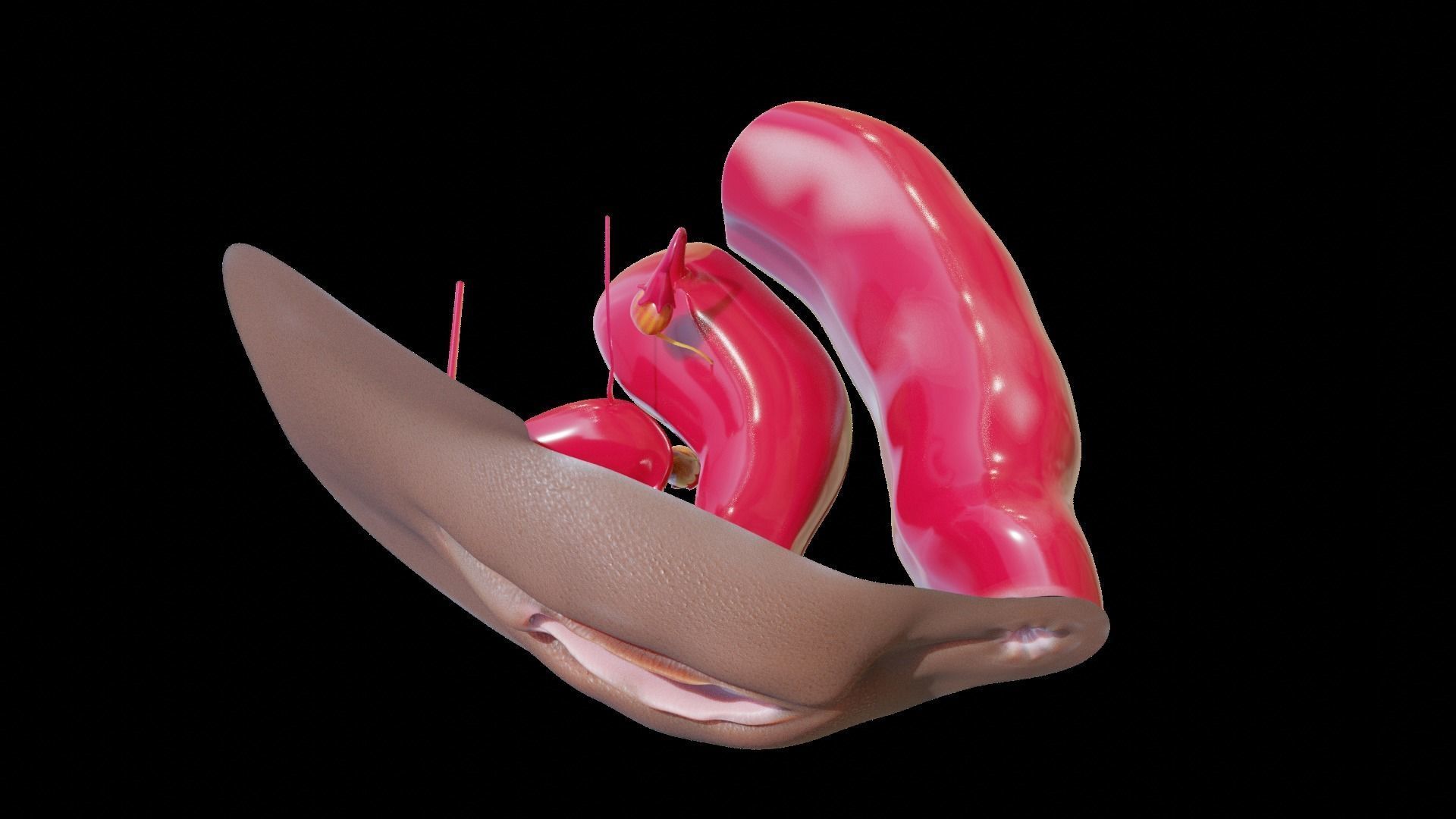 sexe anathomy shape key white android and ebony texture 3D model_11