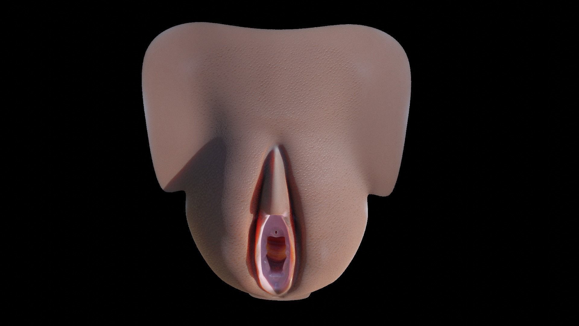 sexe anathomy shape key white android and ebony texture 3D model_13