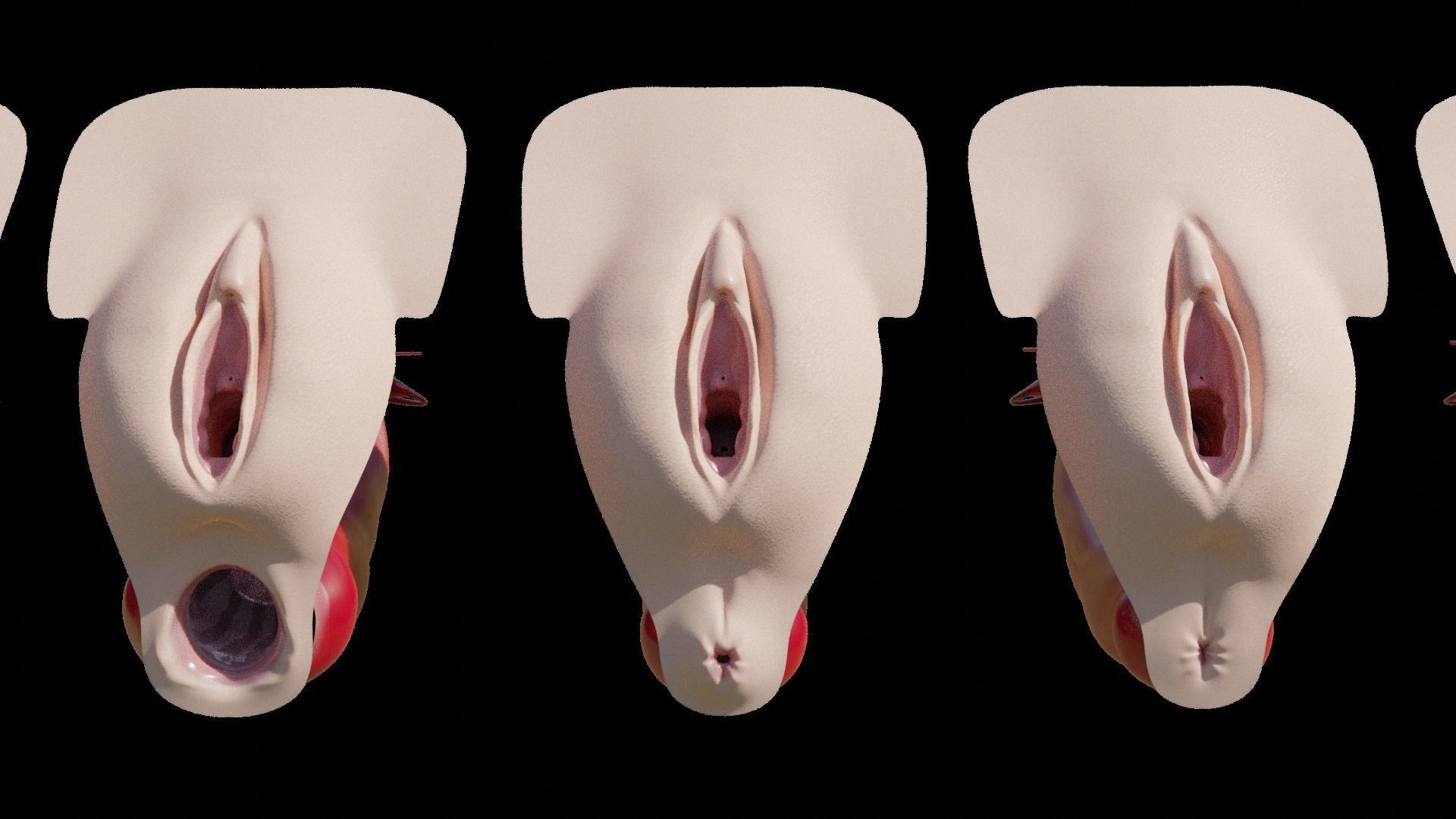 sexe anathomy shape key white android and ebony texture 3D model_5