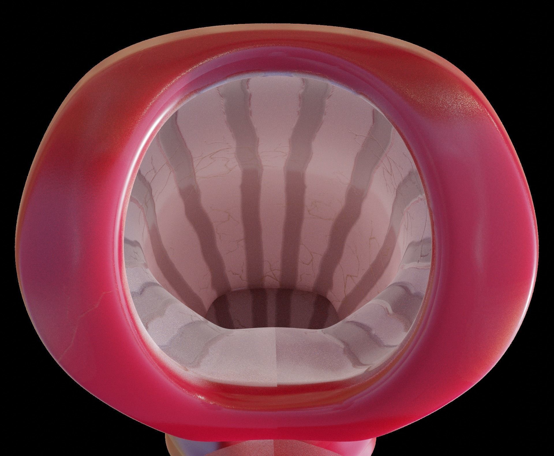 sexe anathomy shape key white android and ebony texture 3D model_15