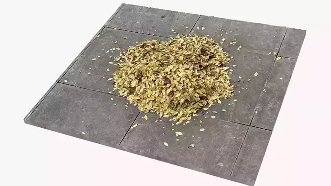 Leaves on the ground 3d scan
