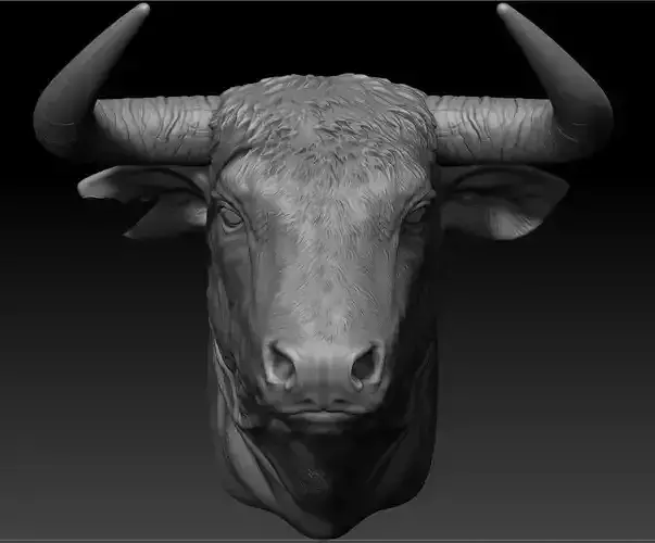 bulls bull head