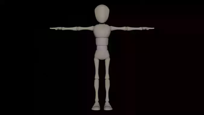 Bony Rig Character