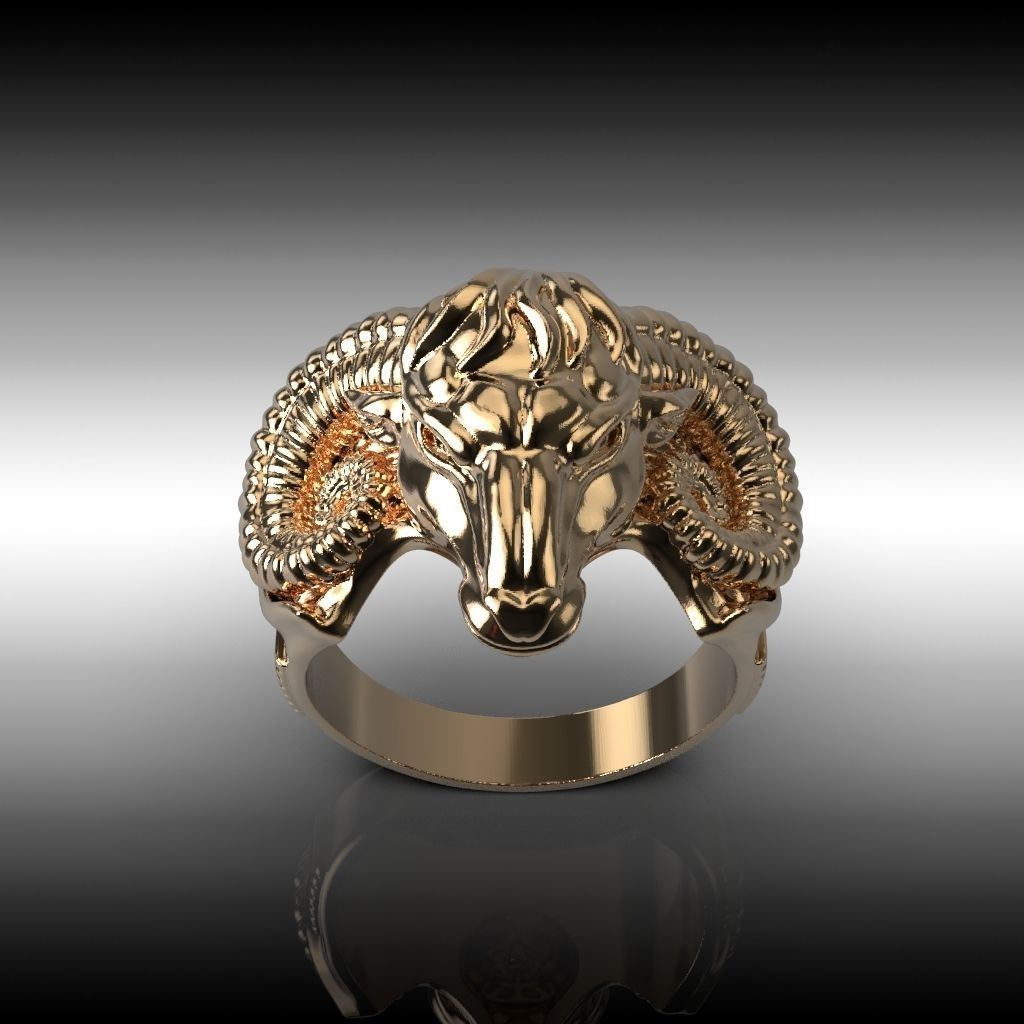 Ring  ram 3D print model_1