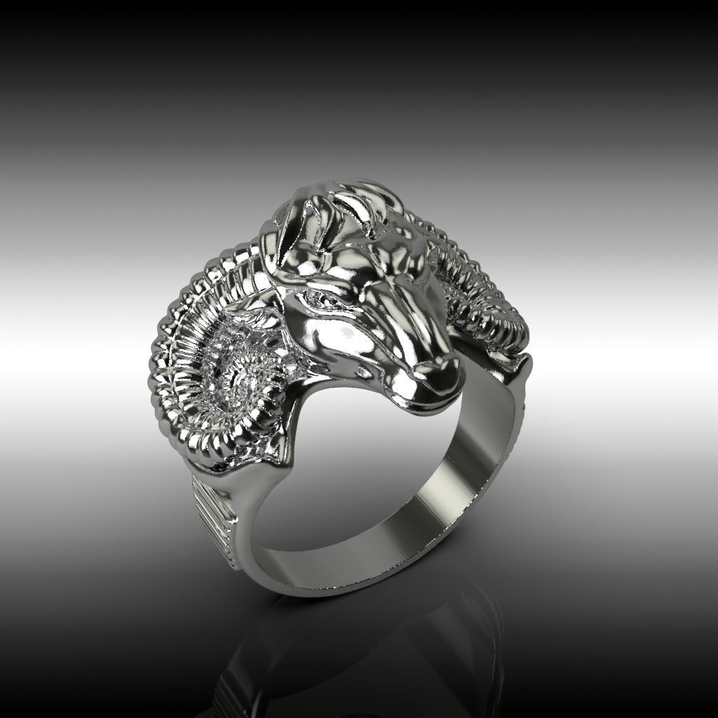 Ring  ram 3D print model_3